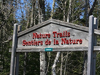 nature-trail-sign-2.jpg